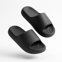 Nuvia™ Cloud Slides